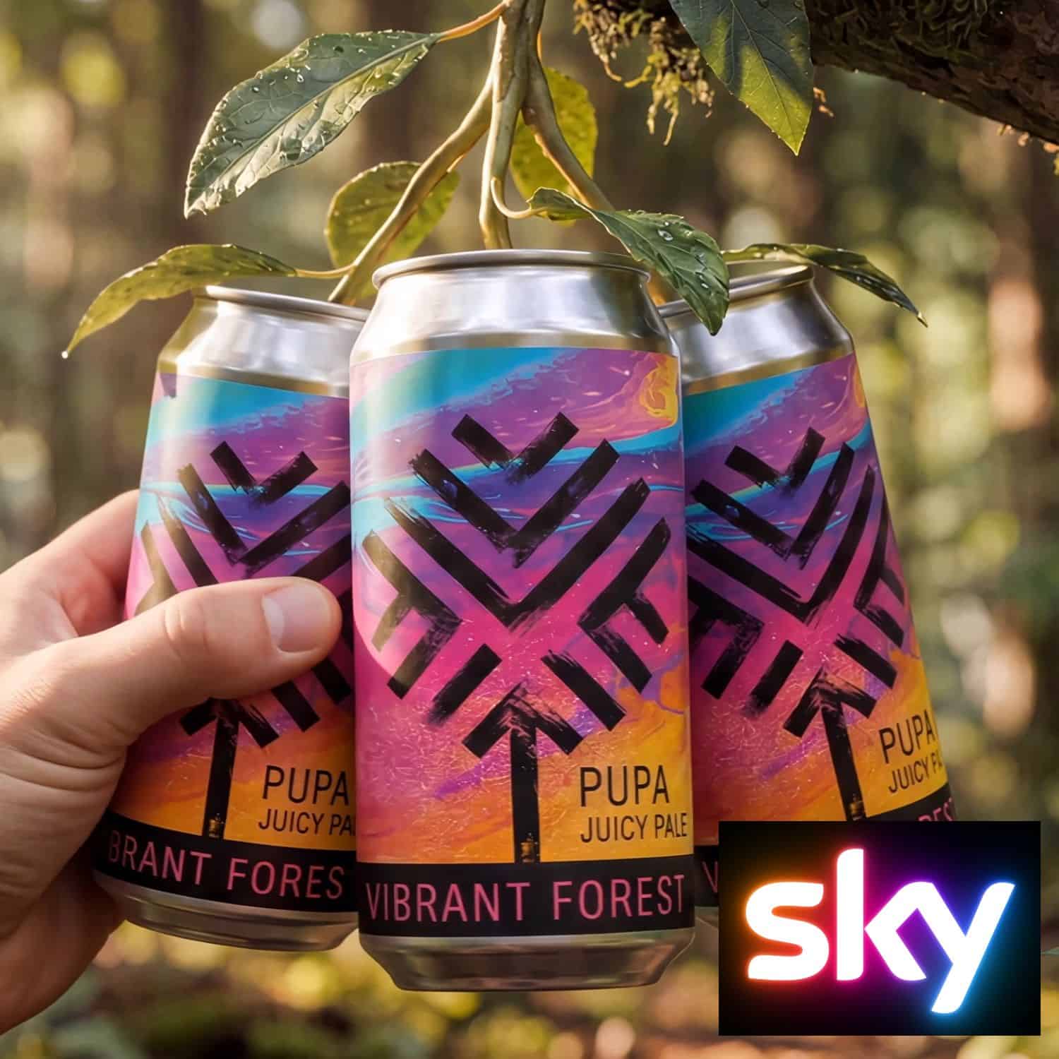 Sky TV Advert